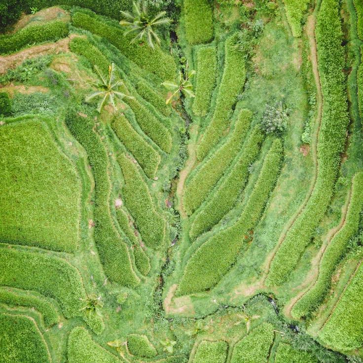 Family terraces and cafés for calm evenings in Amsterdam